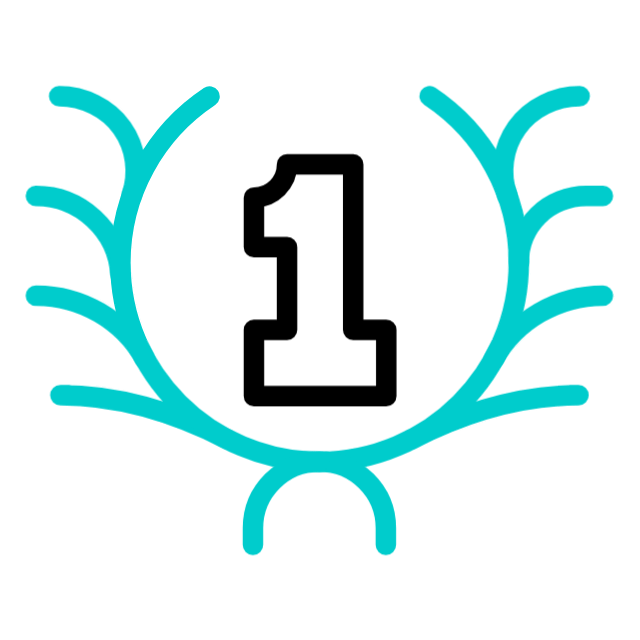 Gift Image