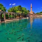 Şanlıurfa