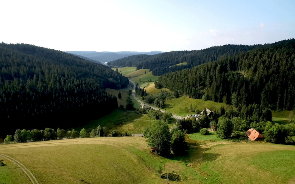 Almanya: Schwarzwald Yolu